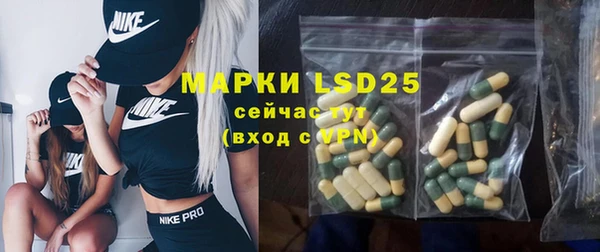 дживик Богородицк