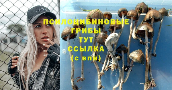 меф Богданович