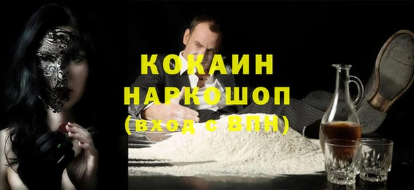 дживик Богородицк