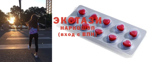 дживик Богородицк