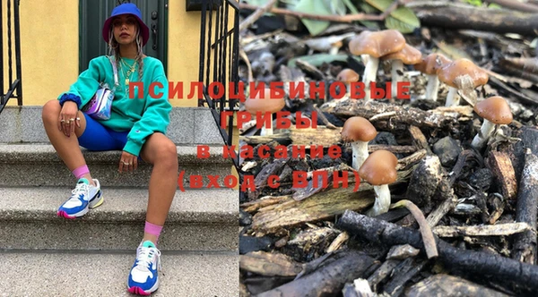 мескалин Богородск