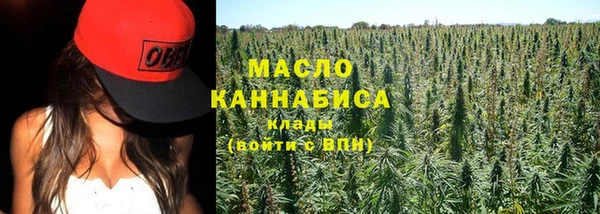 дживик Богородицк