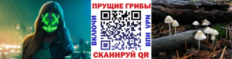 Галлюциногенные грибы GOLDEN TEACHER Демидов